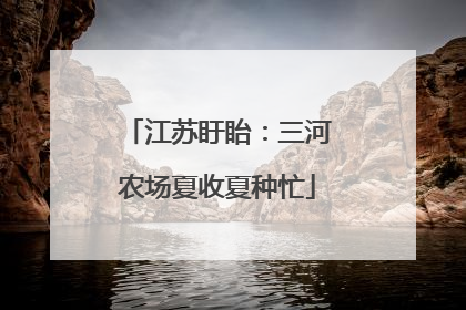 江苏盱眙：三河农场夏收夏种忙