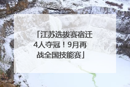 江苏选拔赛宿迁4人夺冠！9月再战全国技能赛