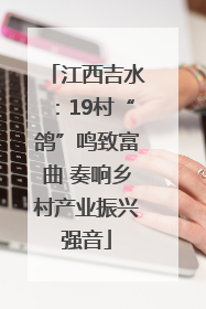 江西吉水：19村“鸽”鸣致富曲 奏响乡村产业振兴强音