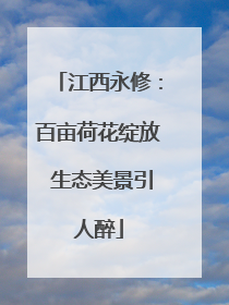 江西永修：百亩荷花绽放 生态美景引人醉