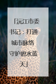 沅江市委书记：打通城市脉络 守护碧水蓝天