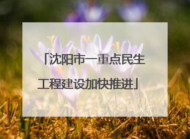 沈阳市一重点民生工程建设加快推进