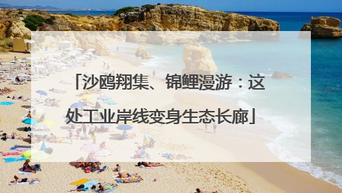 沙鸥翔集、锦鲤漫游：这处工业岸线变身生态长廊