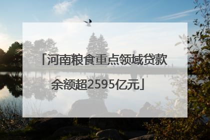 河南粮食重点领域贷款余额超2595亿元