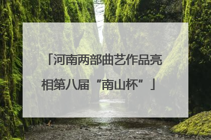河南两部曲艺作品亮相第八届“南山杯”