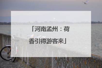 河南孟州：荷香引得游客来
