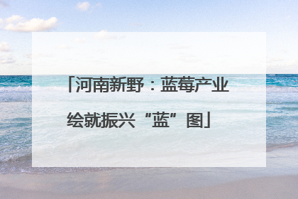 河南新野：蓝莓产业绘就振兴“蓝”图