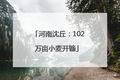 河南沈丘：102 万亩小麦开镰