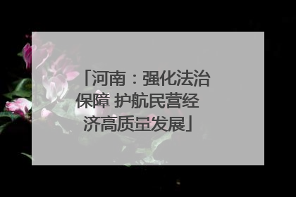 河南：强化法治保障 护航民营经济高质量发展