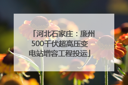 河北石家庄：廉州500千伏超高压变电站增容工程投运