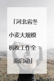 河北省冬小麦大规模机收工作全面启动