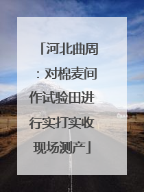 河北曲周：对棉麦间作试验田进行实打实收现场测产