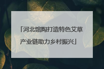河北馆陶打造特色艾草产业链助力乡村振兴