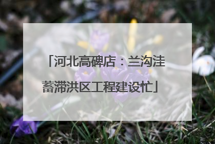 河北高碑店：兰沟洼蓄滞洪区工程建设忙