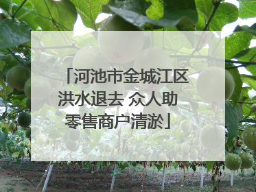 河池市金城江区洪水退去 众人助零售商户清淤