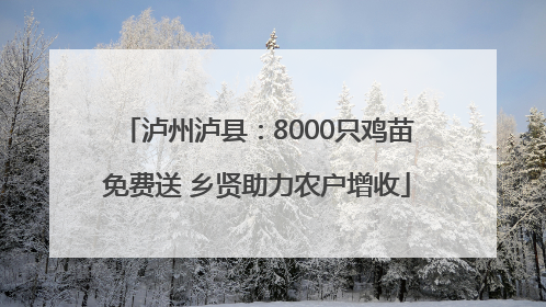 泸州泸县：8000只鸡苗免费送 乡贤助力农户增收