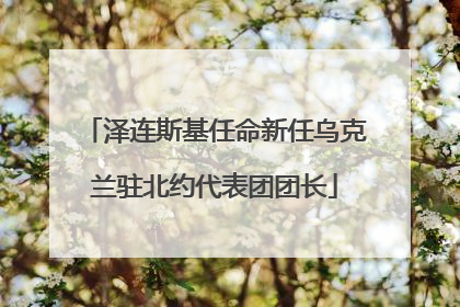 泽连斯基任命新任乌克兰驻北约代表团团长