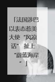 法国涉巴以表态惹美大使“风凉话” 扯上“蔚蓝海岸”
