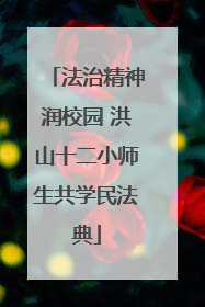 法治精神润校园 洪山十二小师生共学民法典