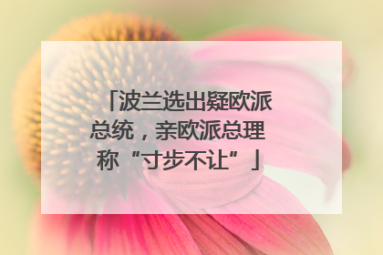 波兰选出疑欧派总统，亲欧派总理称“寸步不让”