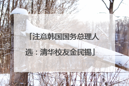 注意韩国国务总理人选：清华校友金民锡