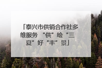泰兴市供销合作社多维服务 “供”绘“三夏”好“丰”景
