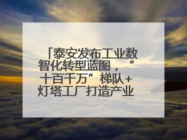 泰安发布工业数智化转型蓝图，“十百千万”梯队+灯塔工厂打造产业新标杆