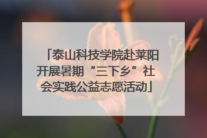 泰山科技学院赴莱阳开展暑期“三下乡”社会实践公益志愿活动