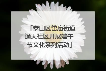 泰山区岱庙街道通天社区开展端午节文化系列活动