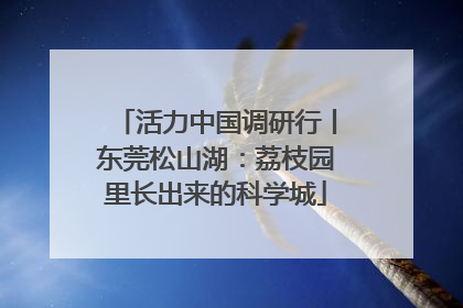 活力中国调研行丨东莞松山湖：荔枝园里长出来的科学城