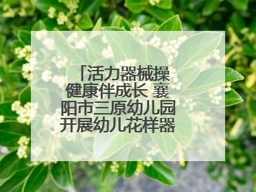 活力器械操 健康伴成长 襄阳市三原幼儿园开展幼儿花样器械操展示活动