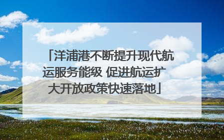 洋浦港不断提升现代航运服务能级 促进航运扩大开放政策快速落地