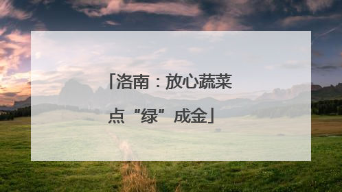 洛南：放心蔬菜点“绿”成金