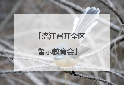 洛江召开全区警示教育会