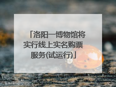 洛阳一博物馆将实行线上实名购票服务(试运行)
