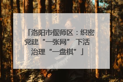 洛阳市偃师区：织密党建“一张网” 下活治理“一盘棋”