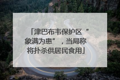 津巴布韦保护区“象满为患”，当局称将扑杀供居民食用