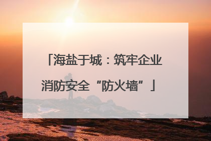 海盐于城：筑牢企业消防安全“防火墙”