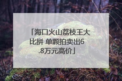 海口火山荔枝王大比拼 单颗拍卖出6.8万元高价