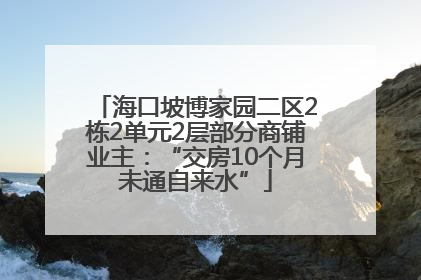 海口坡博家园二区2栋2单元2层部分商铺业主：“交房10个月未通自来水”