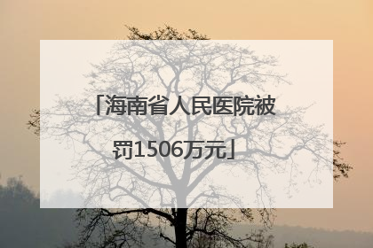 海南省人民医院被罚1506万元