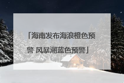海南发布海浪橙色预警 风暴潮蓝色预警