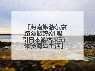 海南旅游东京路演掀热潮 吸引日本游客来琼体验海岛生活