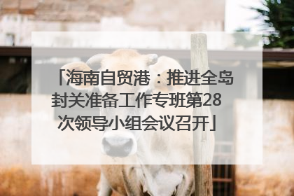 海南自贸港：推进全岛封关准备工作专班第28次领导小组会议召开