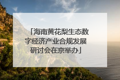 海南黄花梨生态数字经济产业合规发展研讨会在京举办