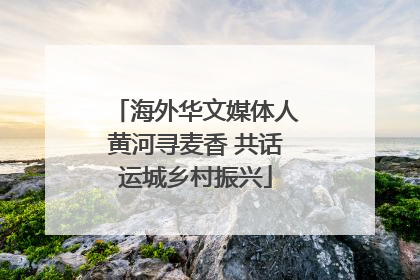 海外华文媒体人黄河寻麦香 共话运城乡村振兴