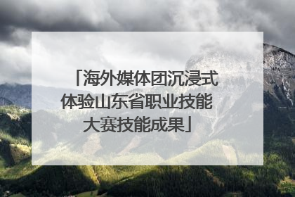 海外媒体团沉浸式体验山东省职业技能大赛技能成果