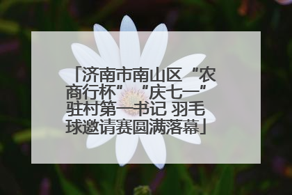 济南市南山区“农商行杯”“庆七一”驻村第一书记 羽毛球邀请赛圆满落幕