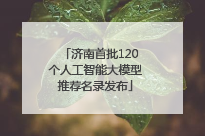 济南首批120个人工智能大模型推荐名录发布