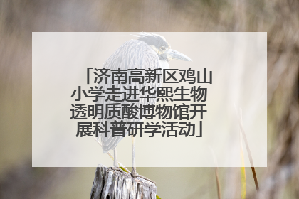 济南高新区鸡山小学走进华熙生物透明质酸博物馆开展科普研学活动